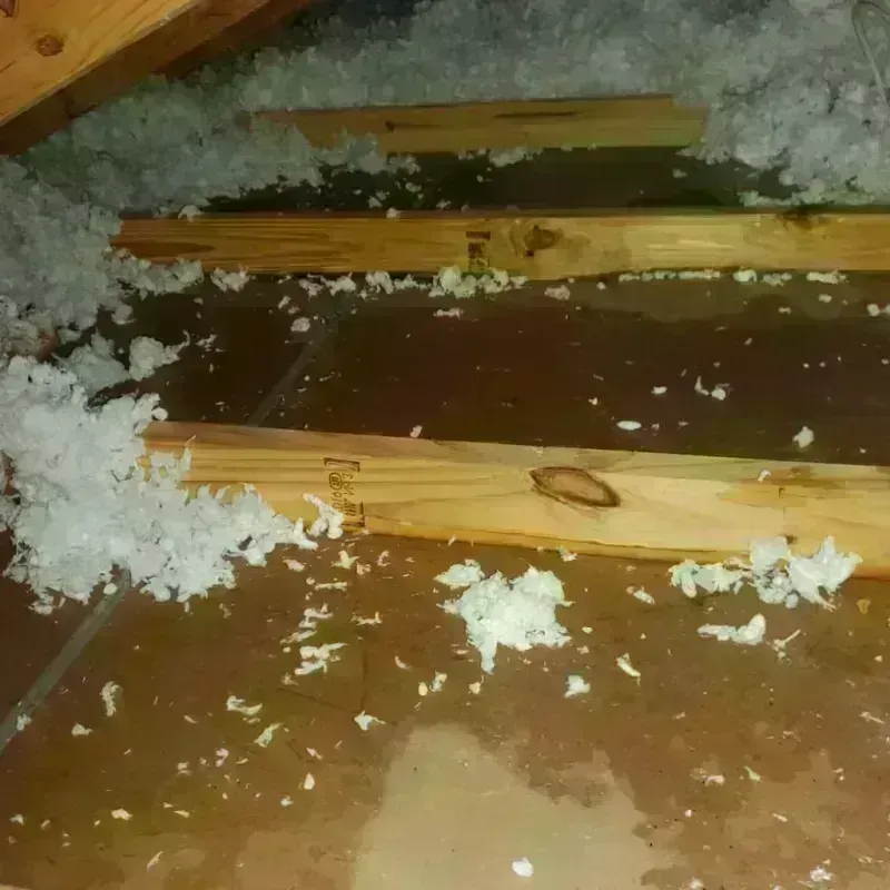 Attic Water Damage in Stephens County, TX