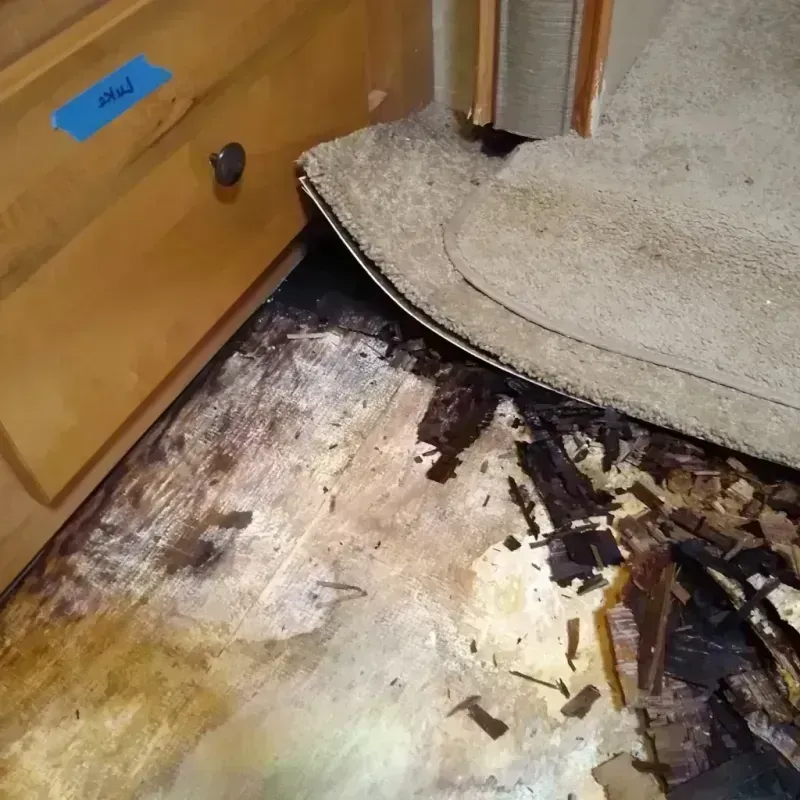 Best Wood Floor Water Damage Service in Stephens County, TX